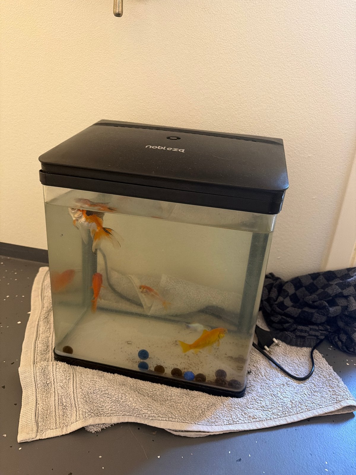 Vissen en aquarium gratis, Dieren en Toebehoren, Ophalen of Verzenden, Gevuld zoetwateraquarium