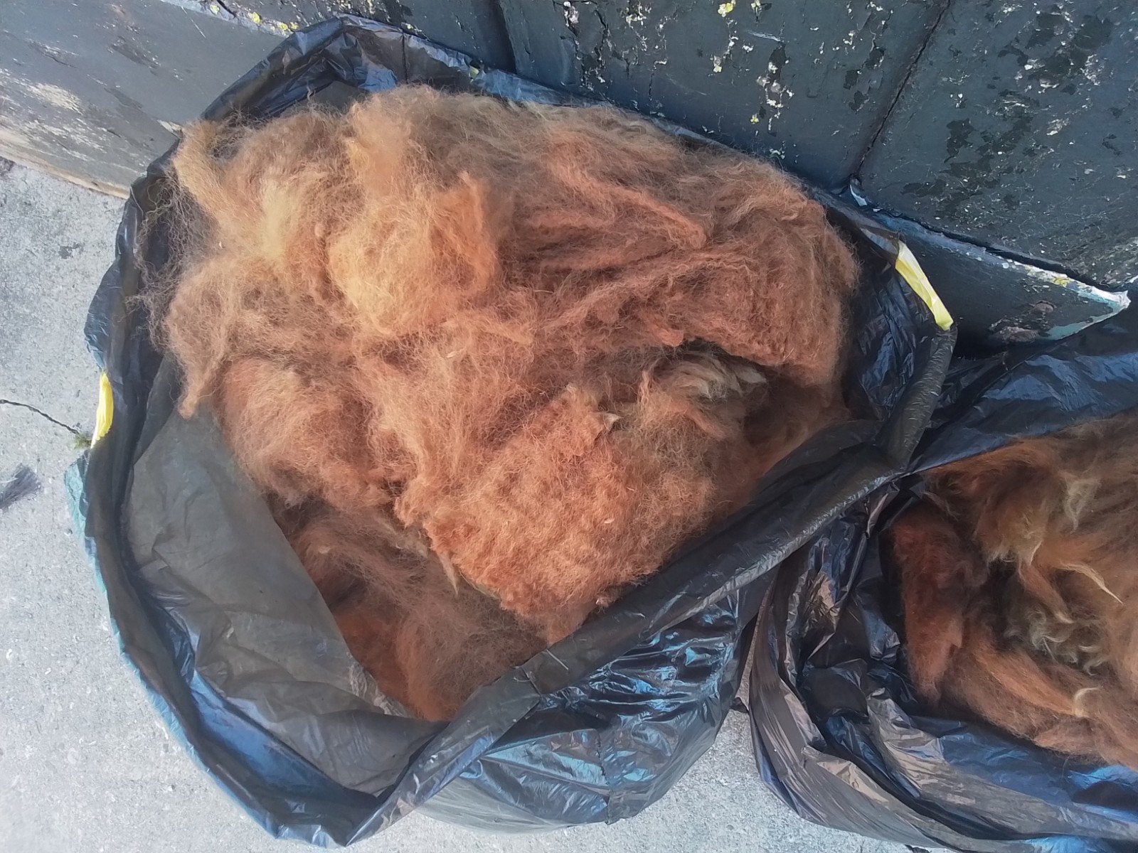 alpaca vacht, Hobby en Vrije tijd, Ophalen of Verzenden