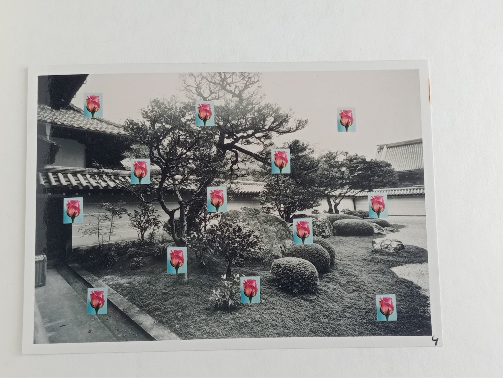 Jean Ruiter The Kyoto Zen Garden project, Antiek en Kunst, Ophalen of Verzenden