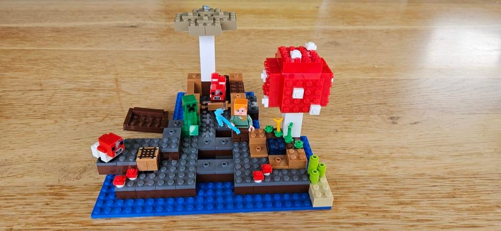 Lego minecraft paddenstoeleneiland (21129), Ophalen of Verzenden, Zo goed als nieuw