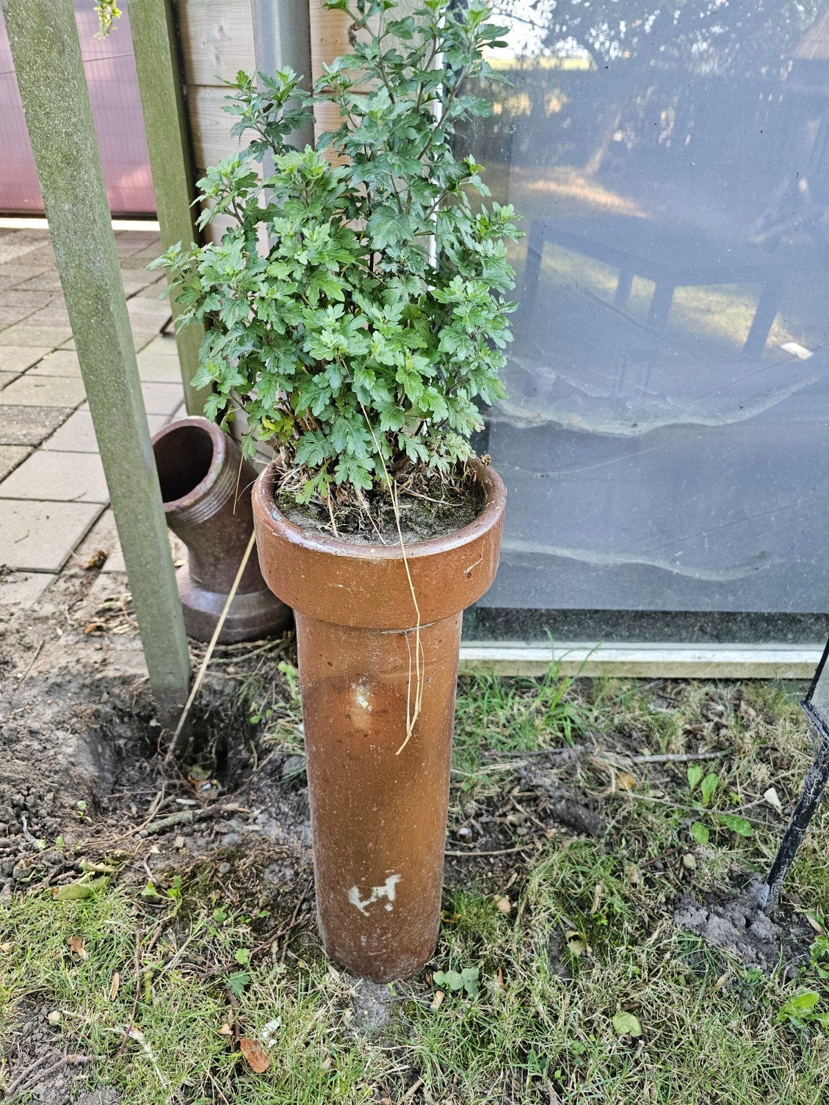 gresbuis, bloembak, Tuin en Terras, Ophalen, Rond, Minder dan 30 cm