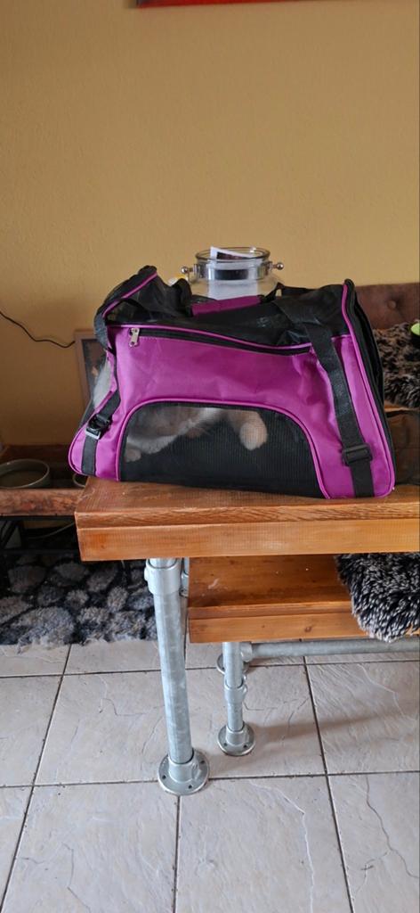 te koop katten reistas  vervoersmand, Ophalen of Verzenden, Zo goed als nieuw