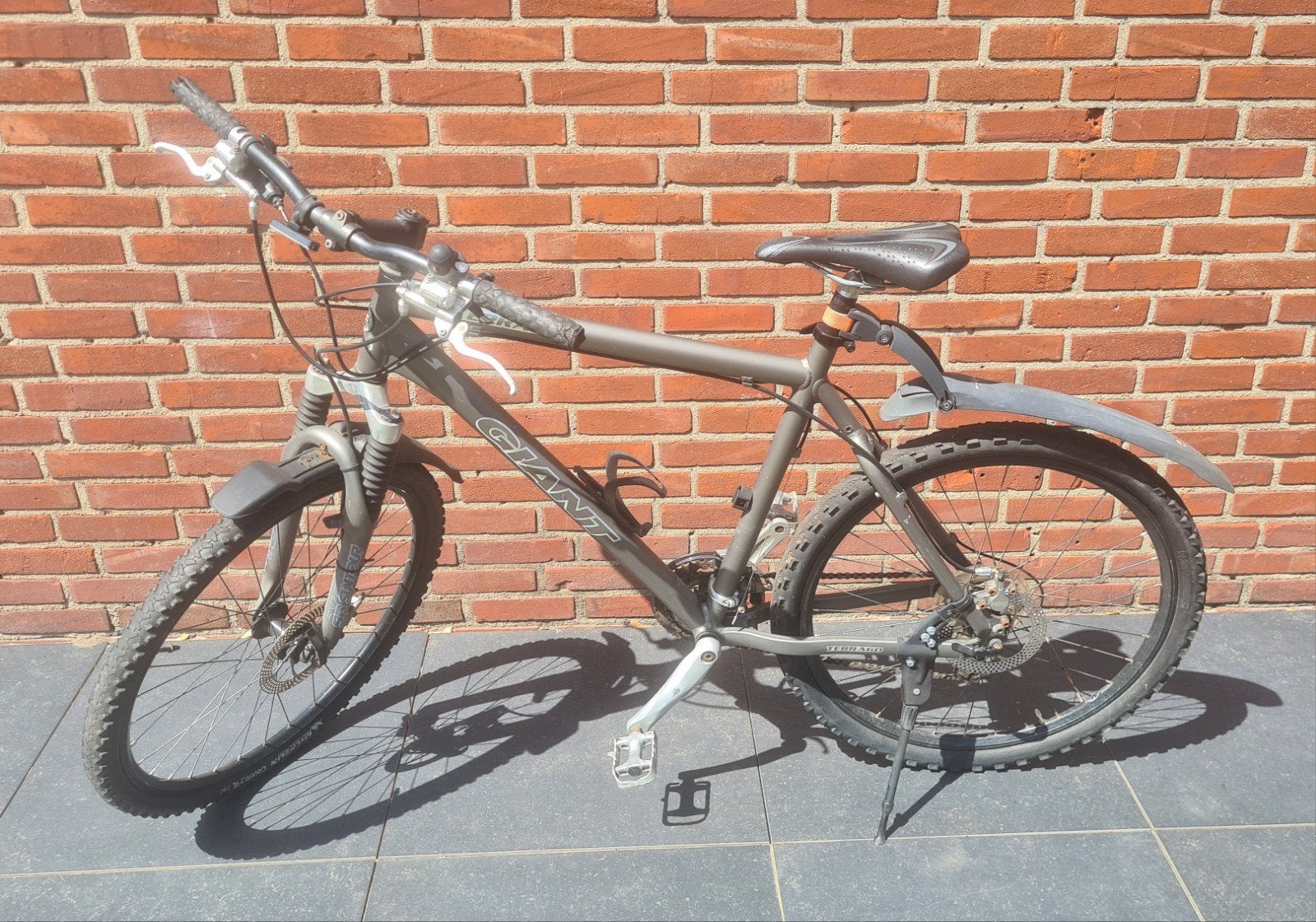 Giant Terrago Mountainbike, Ophalen, Heren, Giant