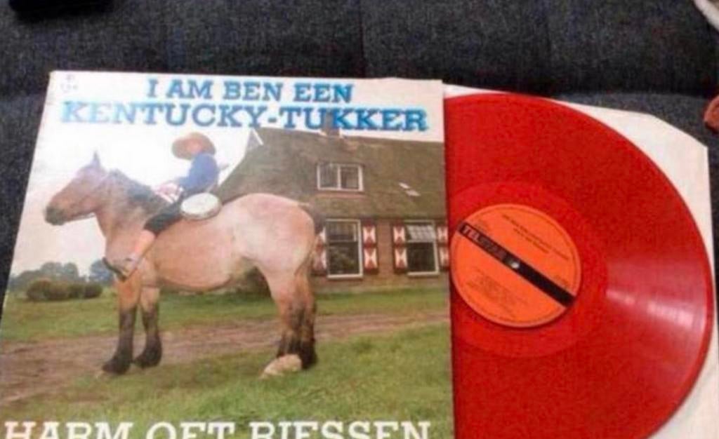 Vinyl Harm oet Overijssel 🌼 I Am Ben een Kentuckie Tukker, Ophalen of Verzenden, Zo goed als nieuw
