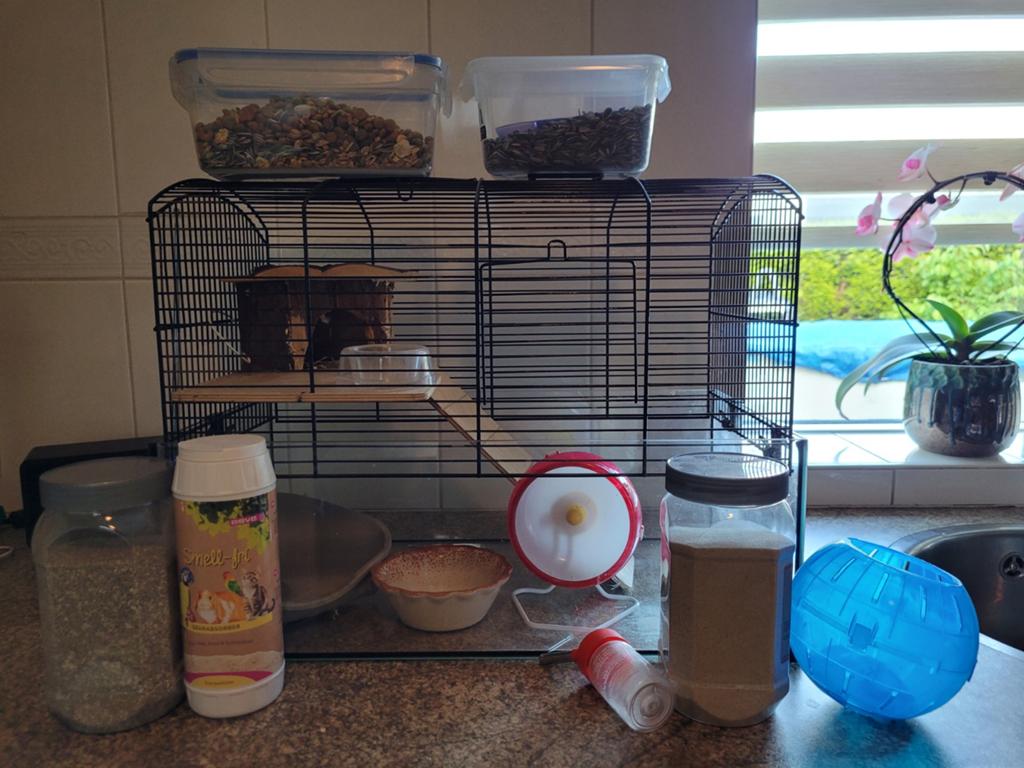 Hamsterkooi 1/2 van glas, Ophalen