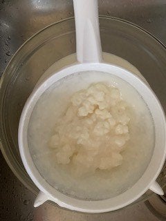 Melkkefir korrels voor probiotica drinkyogurt GRATIS ophalen, Ophalen