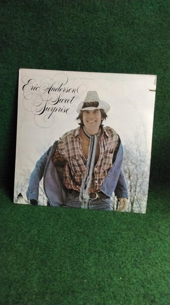 ERIC  ANDERSEN, Ophalen of Verzenden, Gebruikt, 12 inch