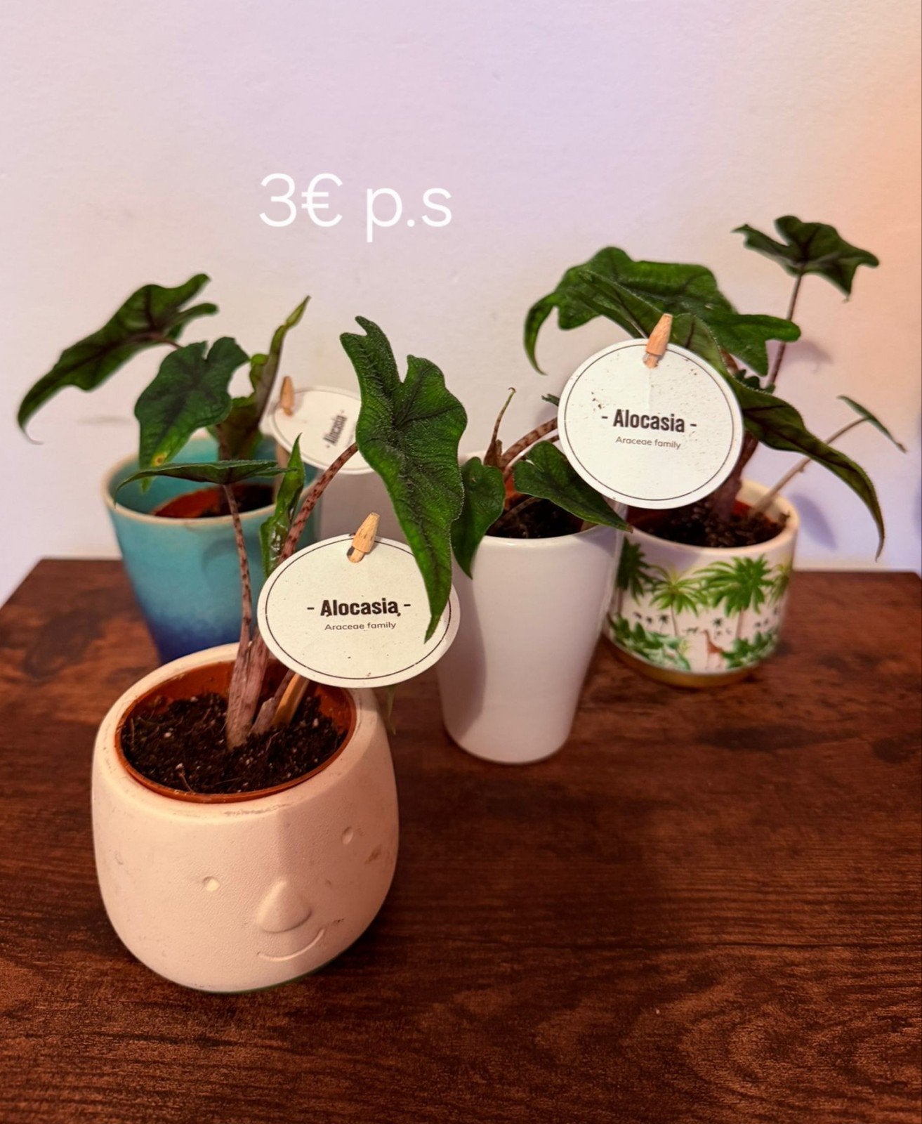 Planten, Ophalen