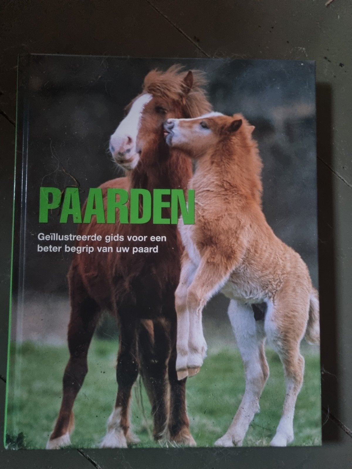 Paarden: Geïllustreerde gids voor een beter begrip, Ophalen of Verzenden, Gelezen, Paarden of Pony's, Onbekend