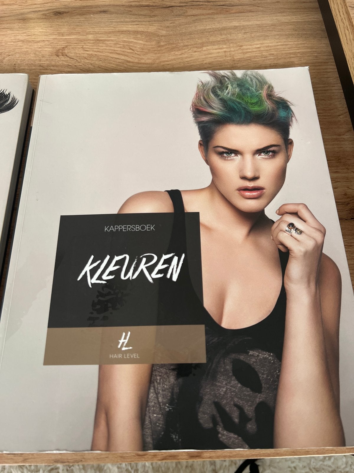Kappersboek Kleuren - Hair Level, Boeken, Ophalen of Verzenden, Zo goed als nieuw, Overige onderwerpen