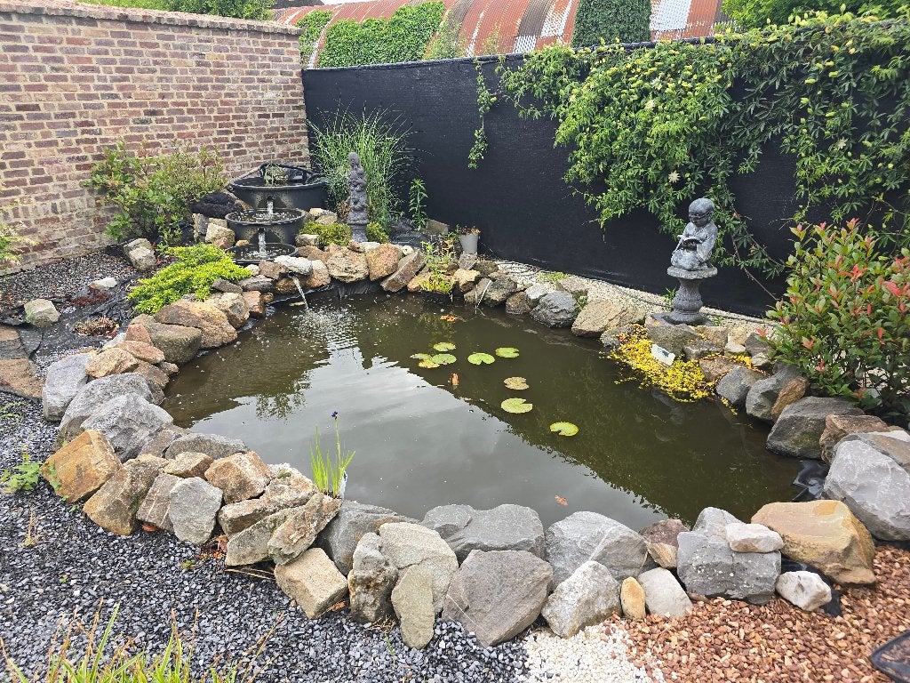 Vijver, stenen, vissen, planten, Ophalen, Gebruikt