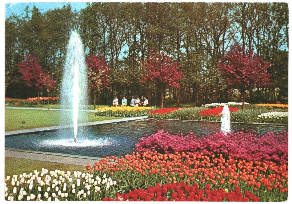 43735	Mogelijk Lisse	jr 70 Bloembollen	Onbeschreven