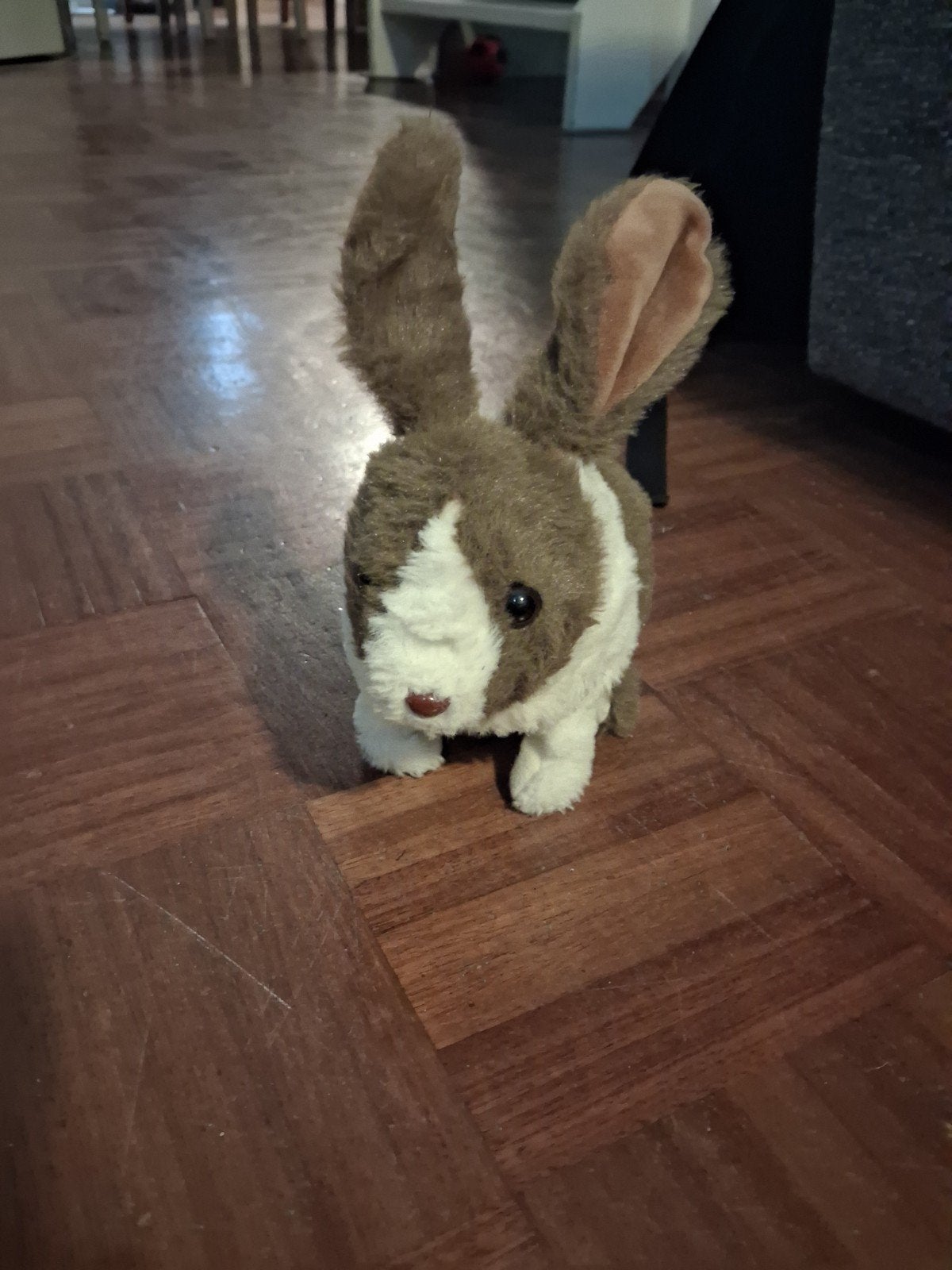 Schattig bruin-wit konijn knuffel, Ophalen, Konijn, Zo goed als nieuw, Middelgroot (20 tot 80 cm)
