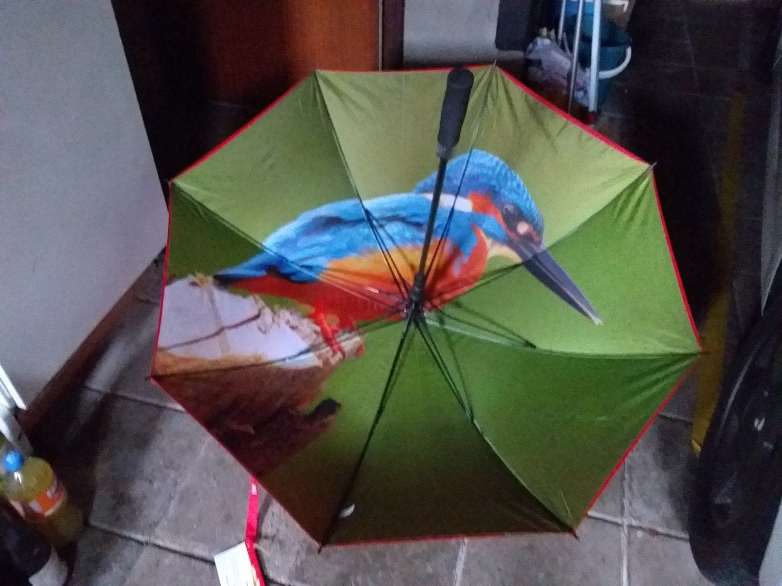 Nieuwe paraplu met ijsvogelprint, Ophalen of Verzenden, Nieuw, Rood