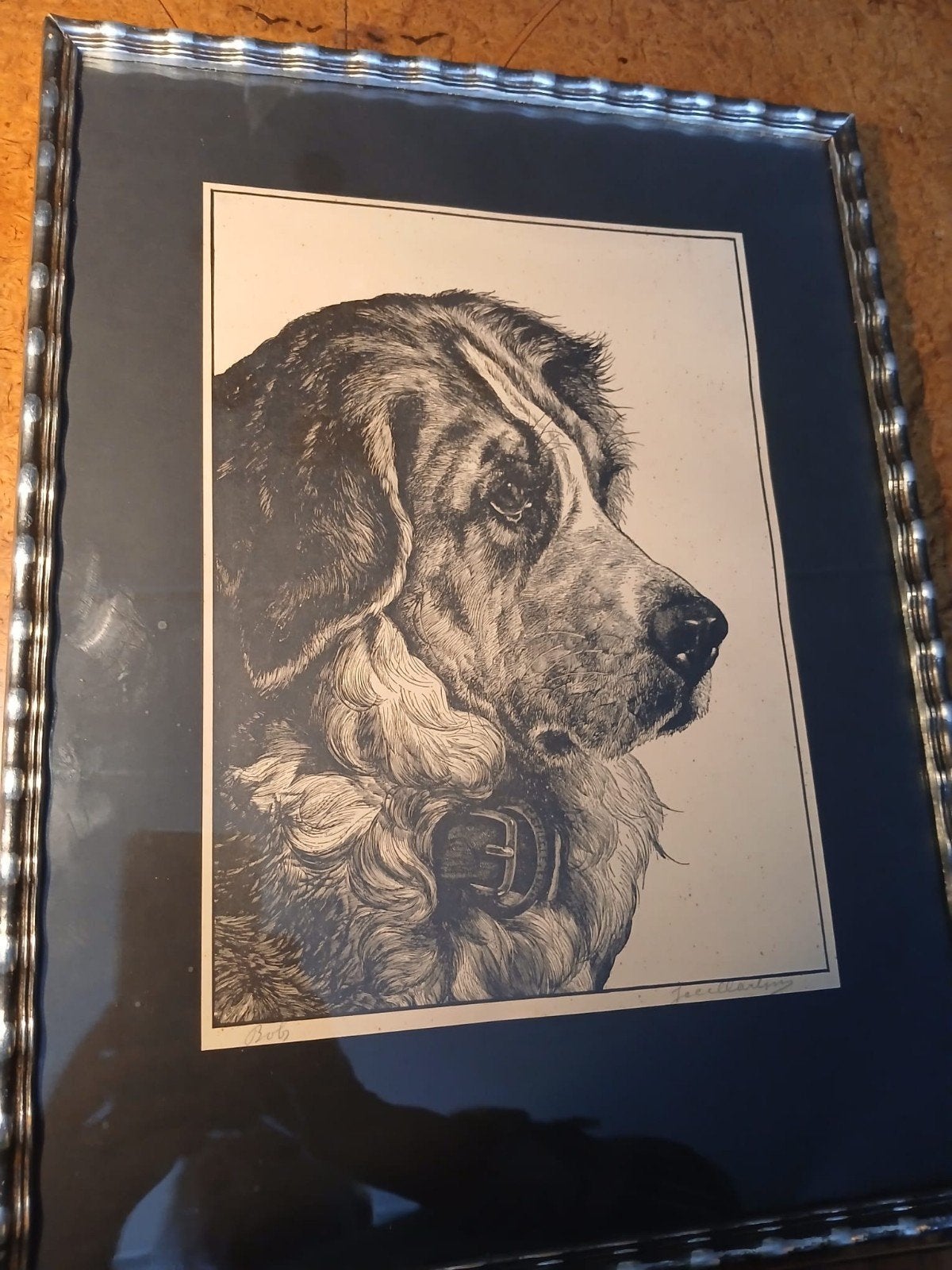 pentekening st benardehond, Ophalen of Verzenden