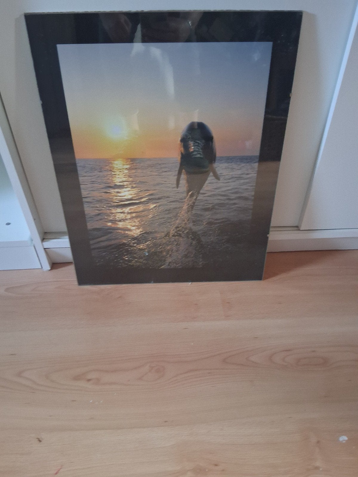 Ingelijste Dolfijn Poster - Zonsondergang Zee, Minder dan 50 cm, Gebruikt, 50 tot 75 cm, Ophalen of Verzenden