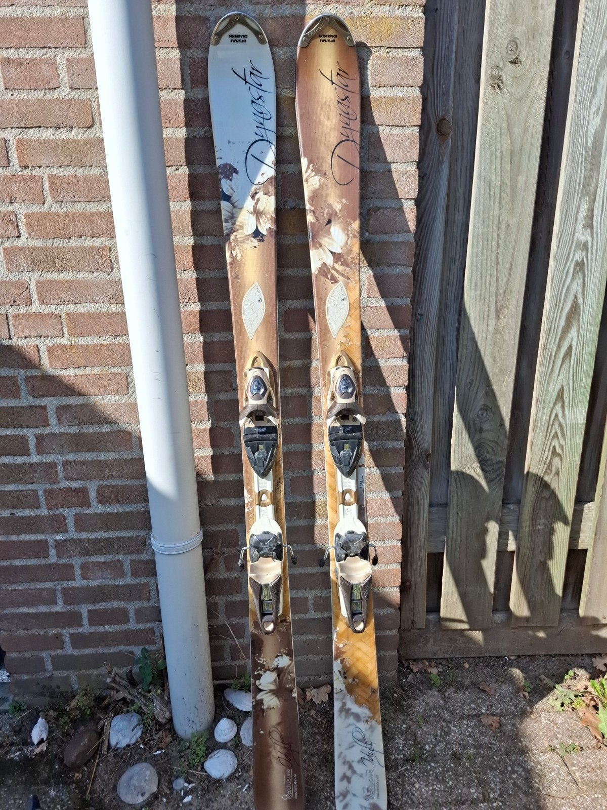 Dynastar carve ski, 140 tot 160 cm, Gebruikt, Carve, Skiën