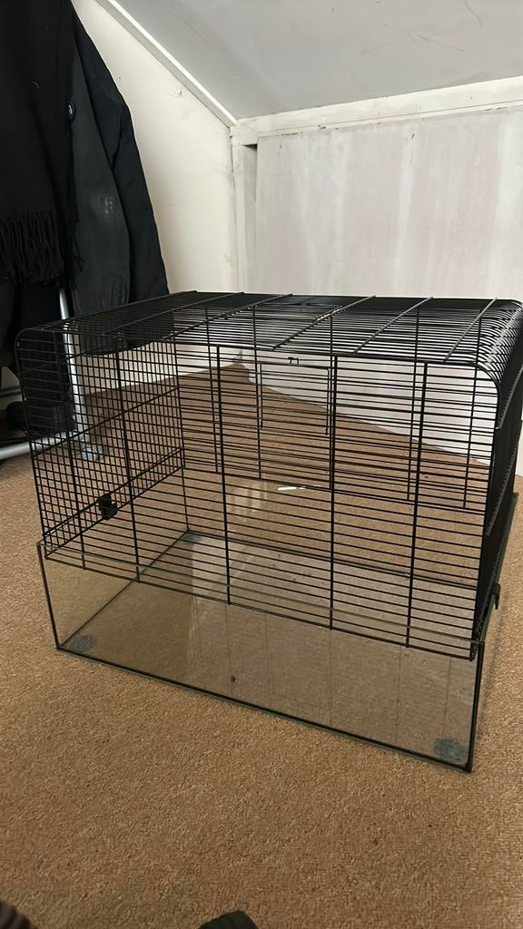 Hamster kooi, Kooi, Minder dan 75 cm, Zo goed als nieuw, Hamster