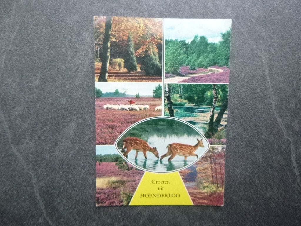Hoenderloo, groeten uit heide/herten/schapen 1969, Verzenden, 1960 tot 1980, Gelopen