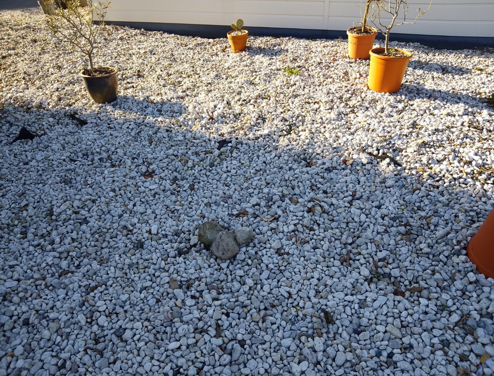 Witte siergrind voor tuin of oprit 4,5 kuub. gratis, Ophalen, Overige materialen, Gebruikt, Wit