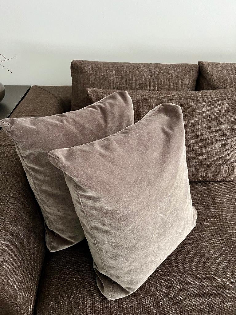Sierkussen 2x | Kussen | Velvet | 50x50 cm | Carlucci | City, Ophalen, Zo goed als nieuw, Grijs, Vierkant
