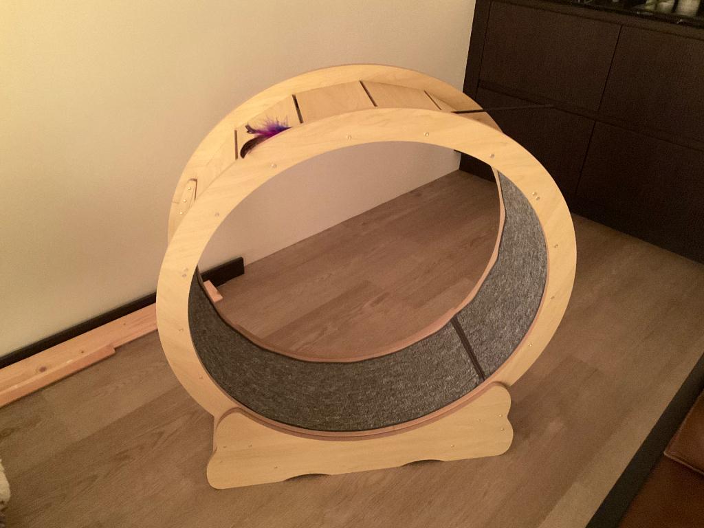 Kattenloopwiel, Ophalen of Verzenden, Nieuw, Overig speelgoed