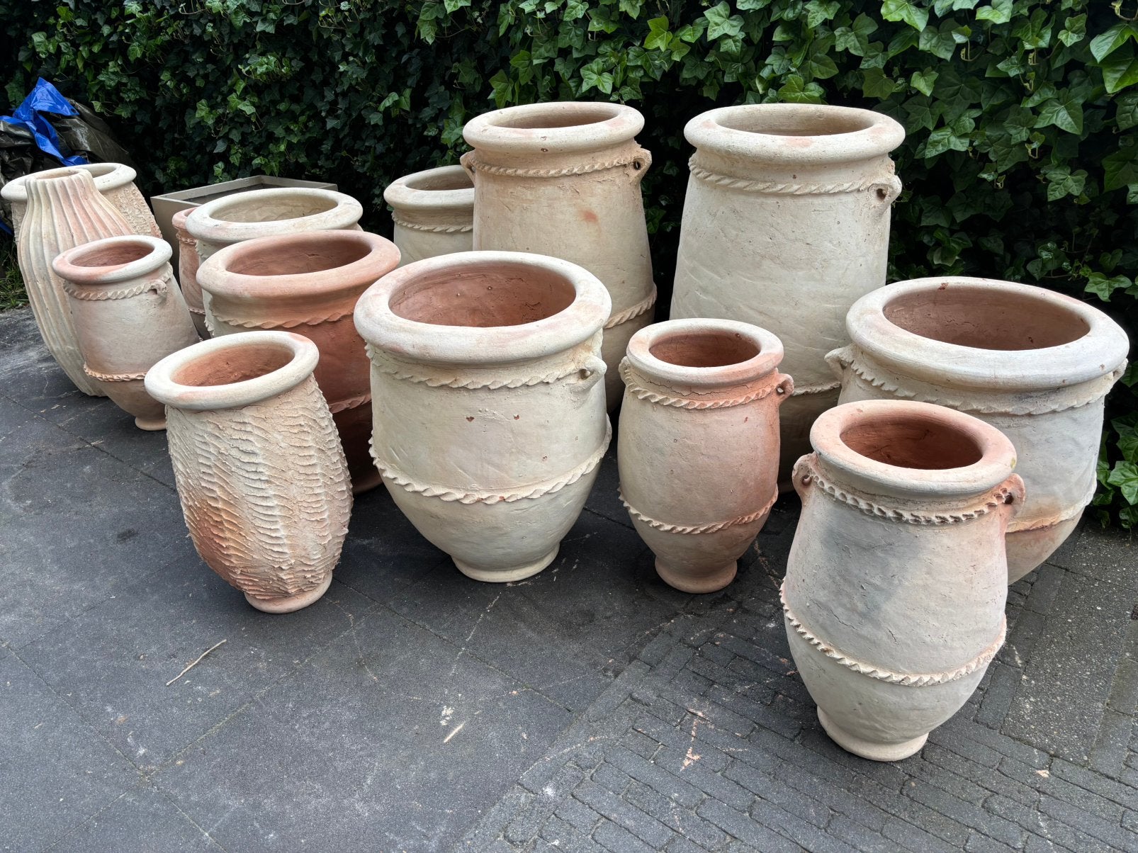 Potten palmboom Marroko ibiza olijfpot  tamegroute, Ophalen