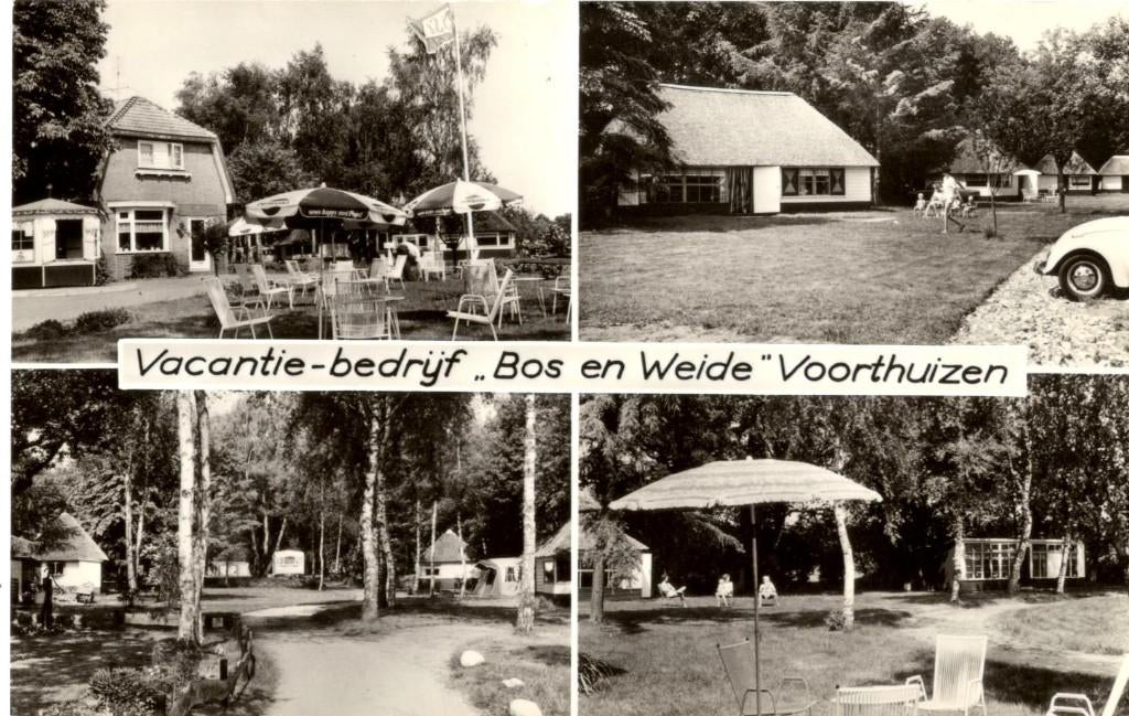 Voorthuizen  "Bos en Weide", Verzenden, 1960 tot 1980, Ongelopen, Gelderland