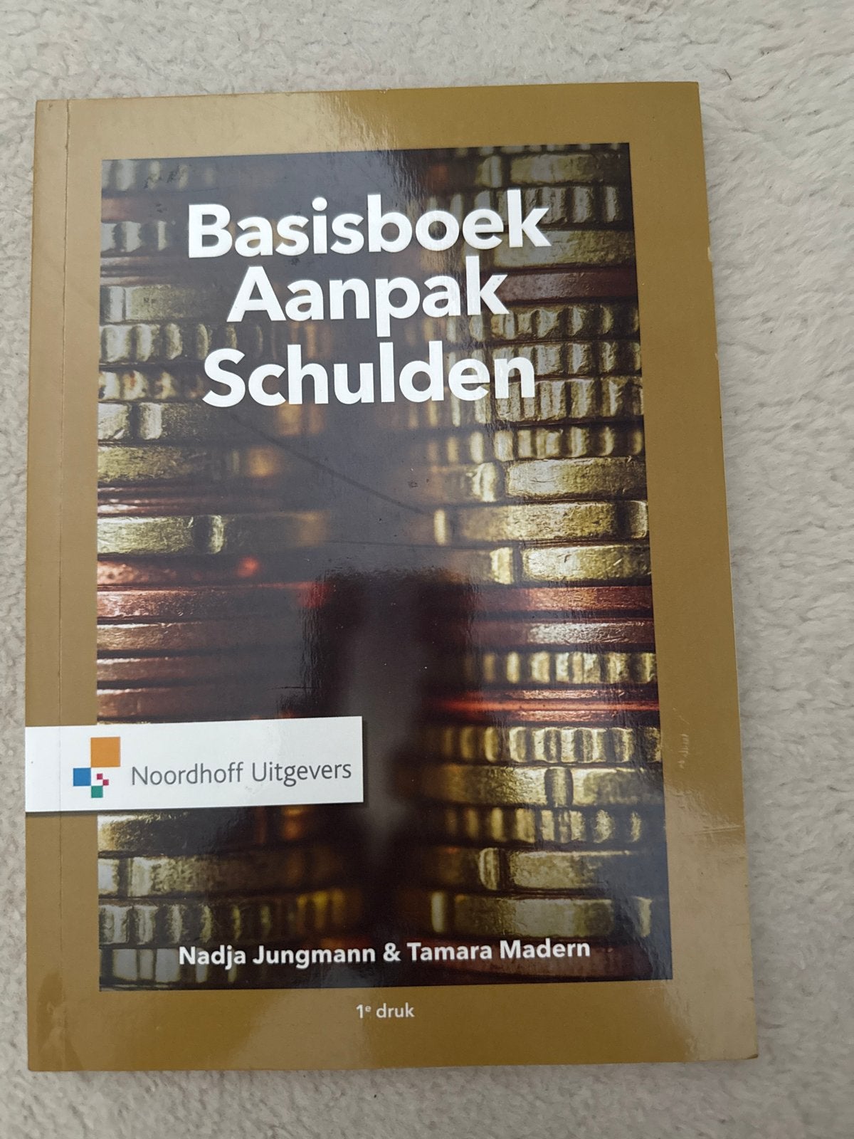 Basisboek Aanpak Schulden - Nadja Jungmann & Tamara Madern, Ophalen of Verzenden, Gamma, Zo goed als nieuw, HBO