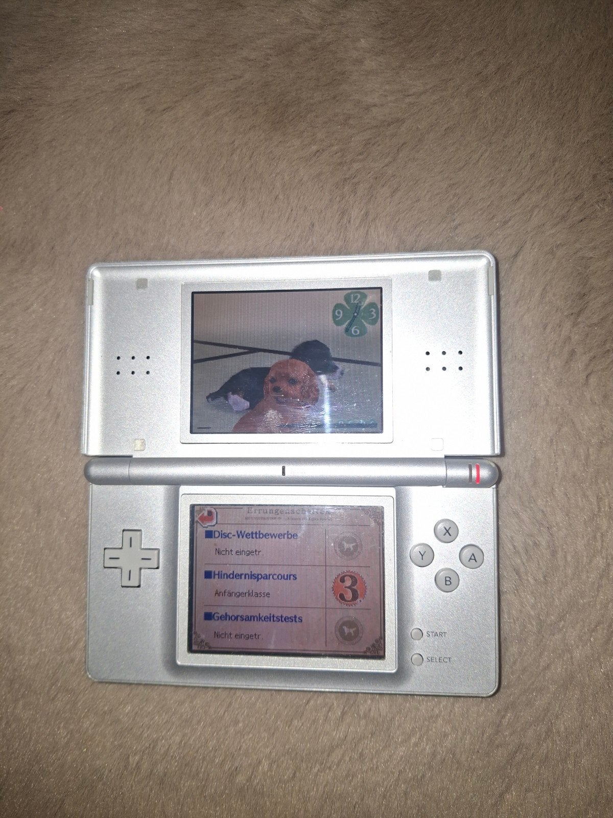 Nintendo DS lite- Zilver - Inclusief Nintendogs., Spelcomputers en Games, Ophalen, Gebruikt, DS Lite