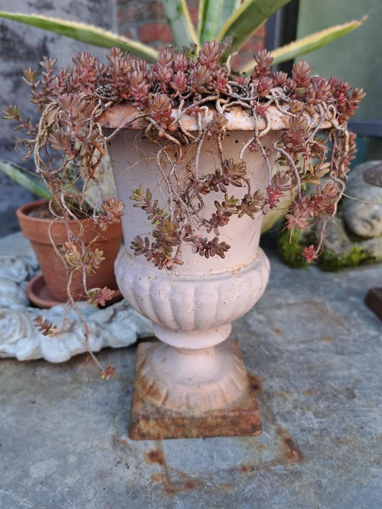 Brocante gietijzer tuinvaas vaas bloempot plantenbak, Tuin en Terras, Tuinvazen, Ophalen, Gebruikt