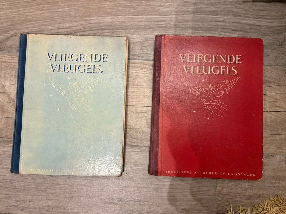 De Vliegende Hollander compleet met plakplaatjes (2 delen), Ophalen of Verzenden, Gelezen, Vliegtuig