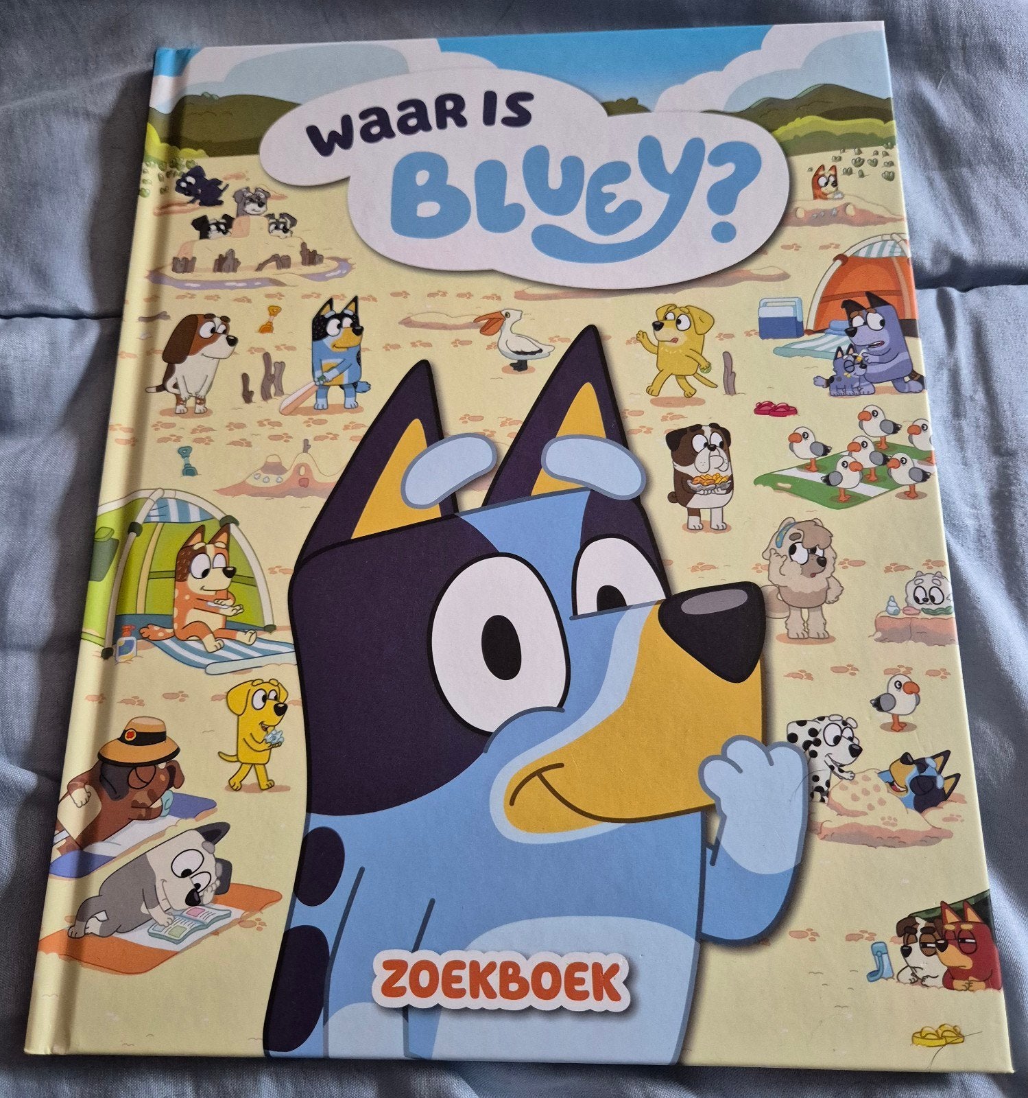 Waar is Bluey? zoekboek NIEUW!, Ophalen of Verzenden, Zo goed als nieuw, Fictie algemeen