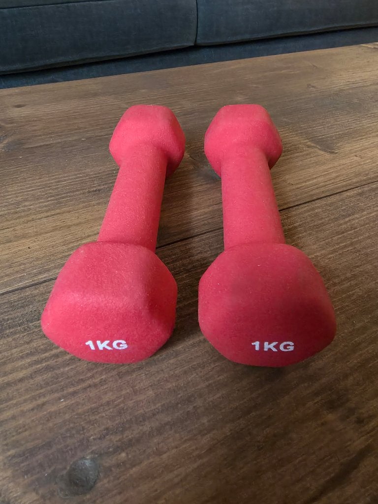 INQ Dumbbells 2 x 1 KG, Sport en Fitness, Ophalen, Zo goed als nieuw, Armen, Dumbbell