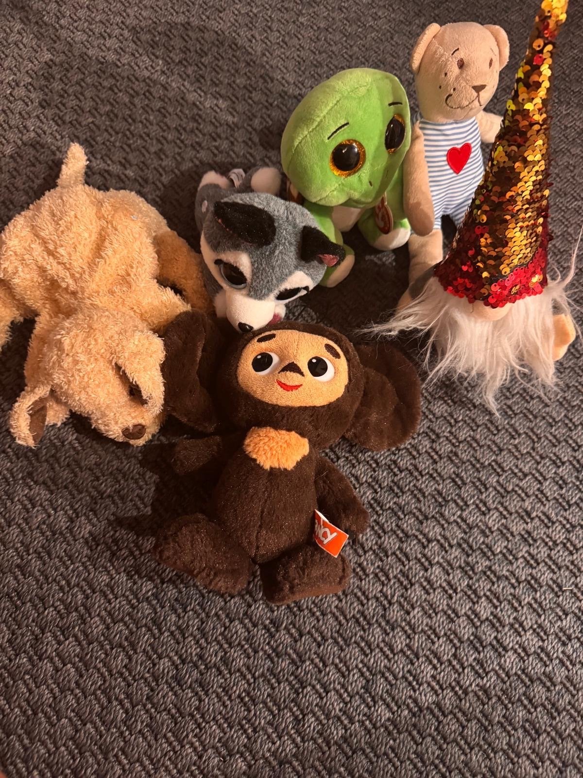 Diverse knuffels: hond, schildpad, wolf, beer en meer!, Gebruikt, Overige merken, Overige karakters, Middelgroot (20 tot 80 cm)