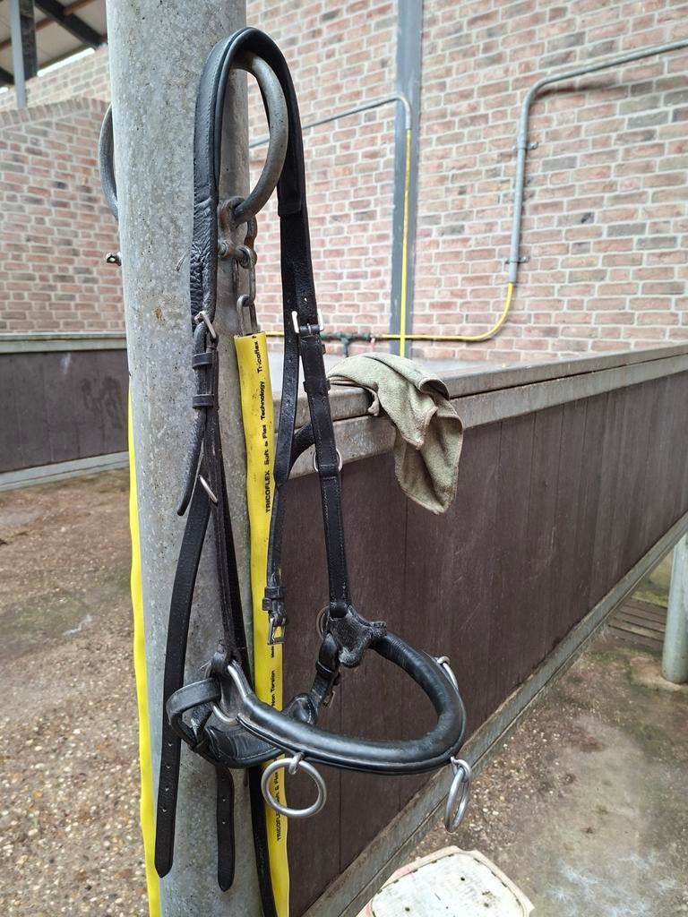 Leren kaptoom maat cob, Dieren en Toebehoren, Ophalen of Verzenden, Gebruikt, Overige soorten