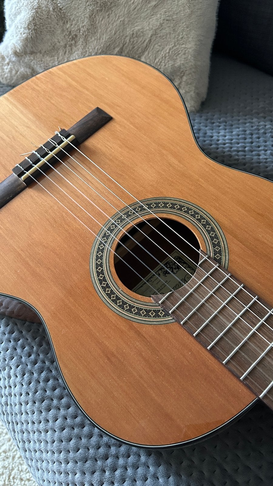 Salvador Cortez Studie gitaar met extra snaren, Ophalen of Verzenden, Zo goed als nieuw, Klassieke of Spaanse gitaar