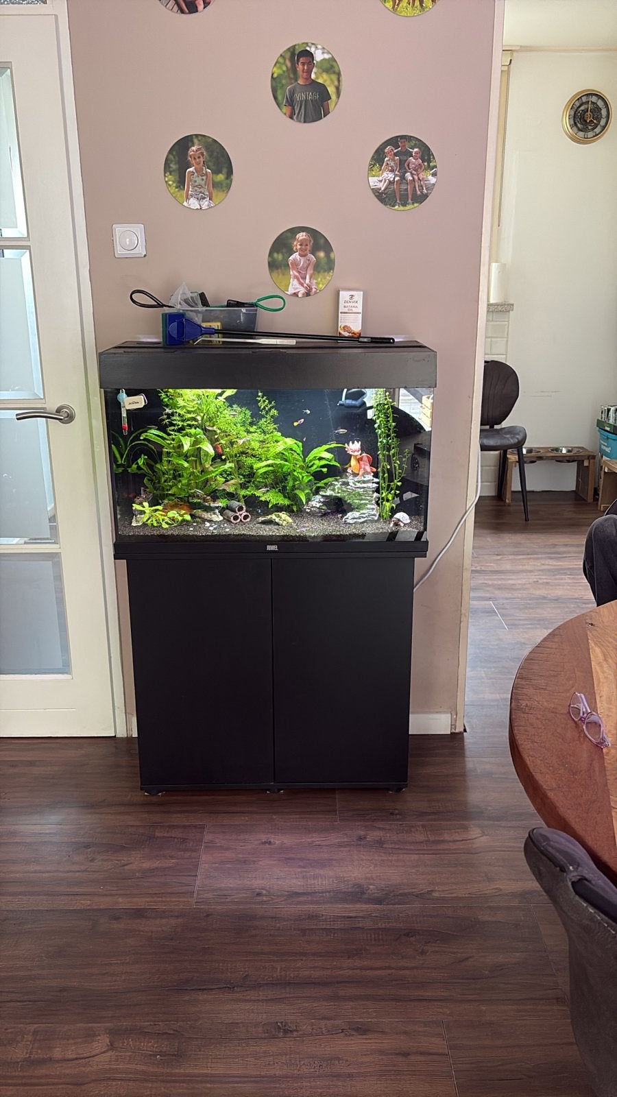 Juwel Rio led 125 L, Dieren en Toebehoren, Ophalen, Pomp, Juwel, Gevuld zoetwateraquarium