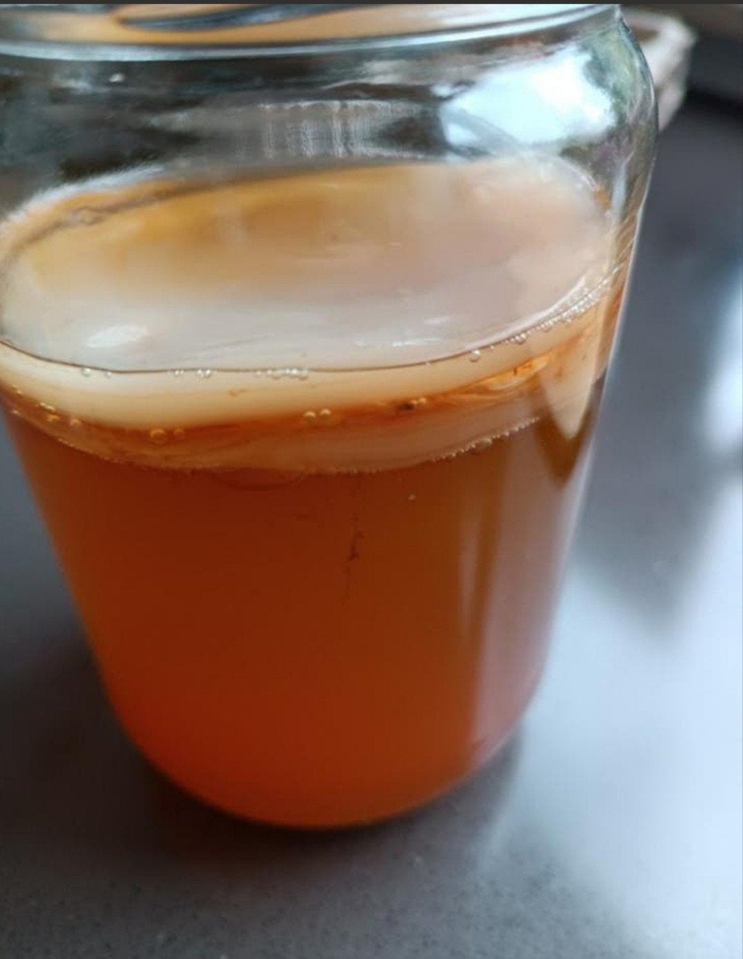 Kombucha scoby zwam, Ophalen