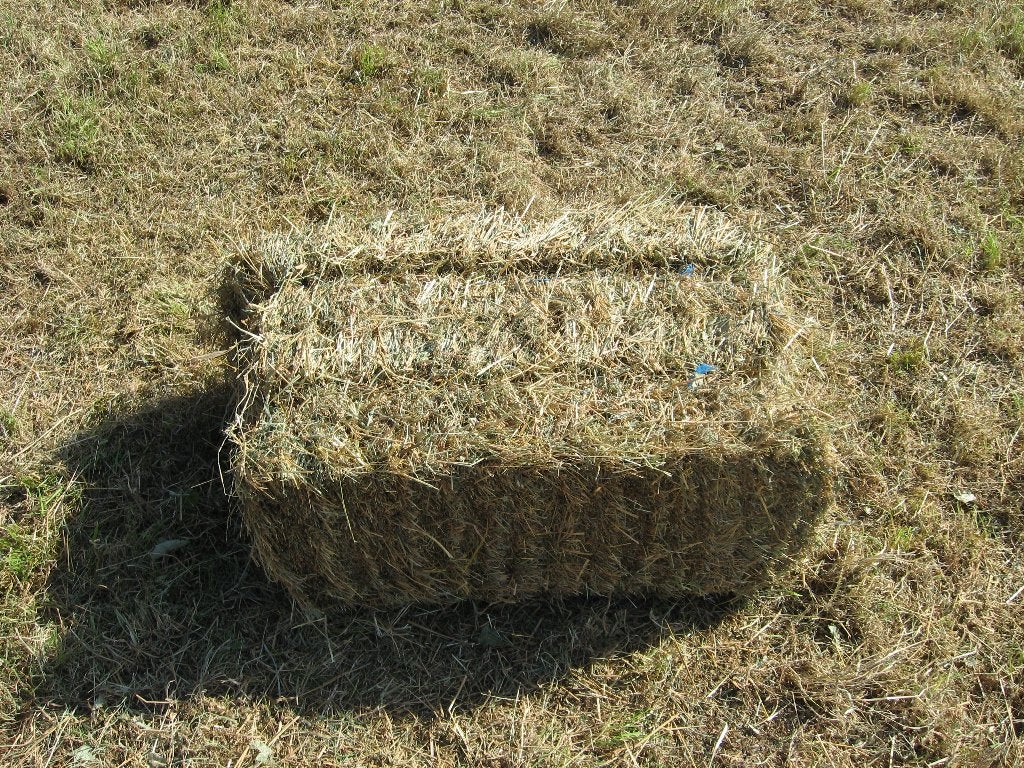 Hooi te koop 1e snede 2026, 79 kleine hoge druk hooibalen, Ophalen, Vee