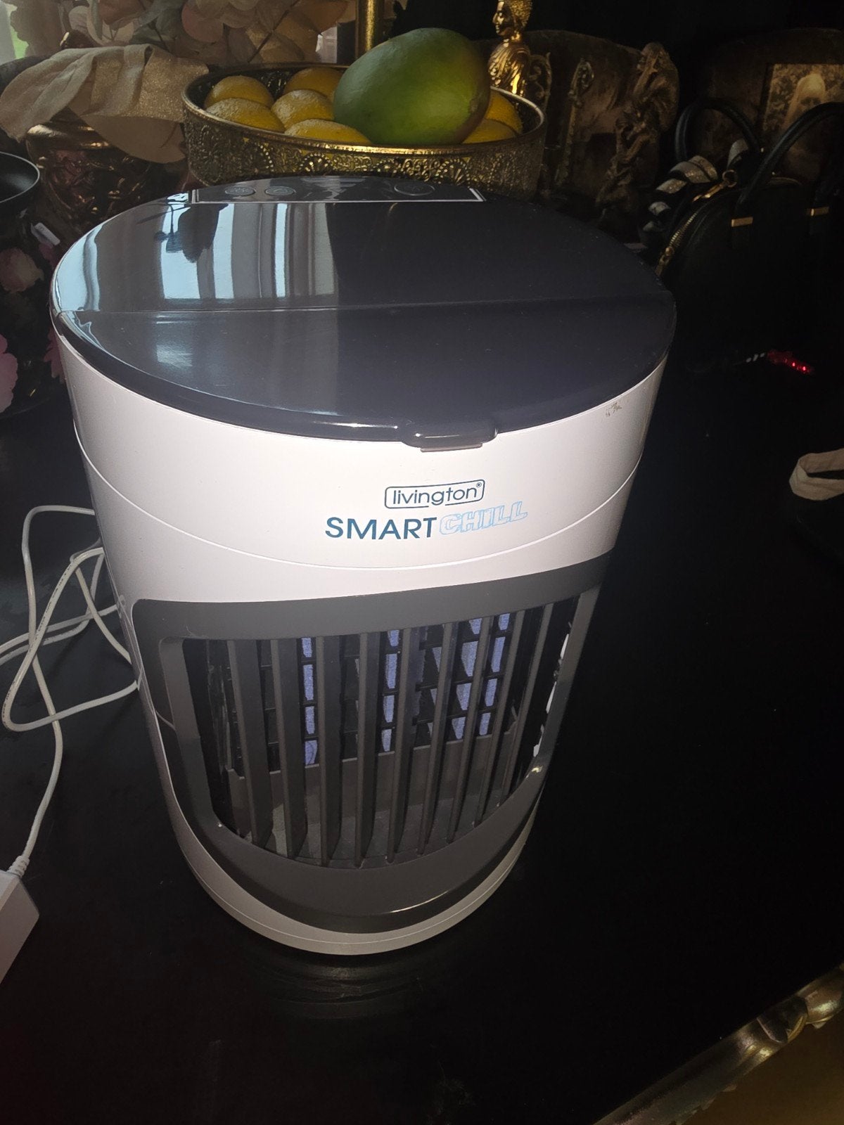 Livington SmartChill Air-Cooler - Gebruikt maar werkt prima, Witgoed en Apparatuur, Airco's, Gebruikt, Minder dan 60 m³, Ventileren