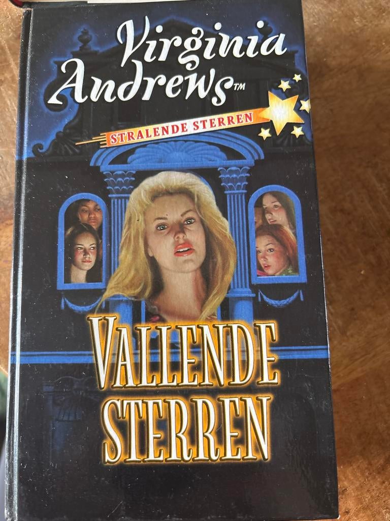 Virginia Andrews - Vallende sterren, Boeken, Ophalen of Verzenden, Zo goed als nieuw, Virginia Andrews