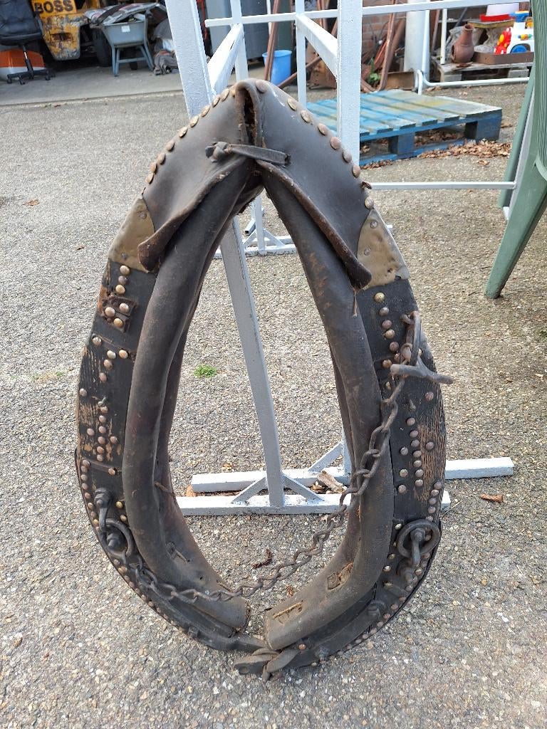 antieke paarden haam, Ophalen, Gebruikt, Overige soorten