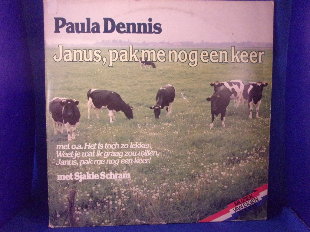 LP: PAULA DENNIS  (JANUS, PAK ME NOG EEN KEER), Ophalen of Verzenden, Zo goed als nieuw, 12 inch, Levenslied of Smartlap