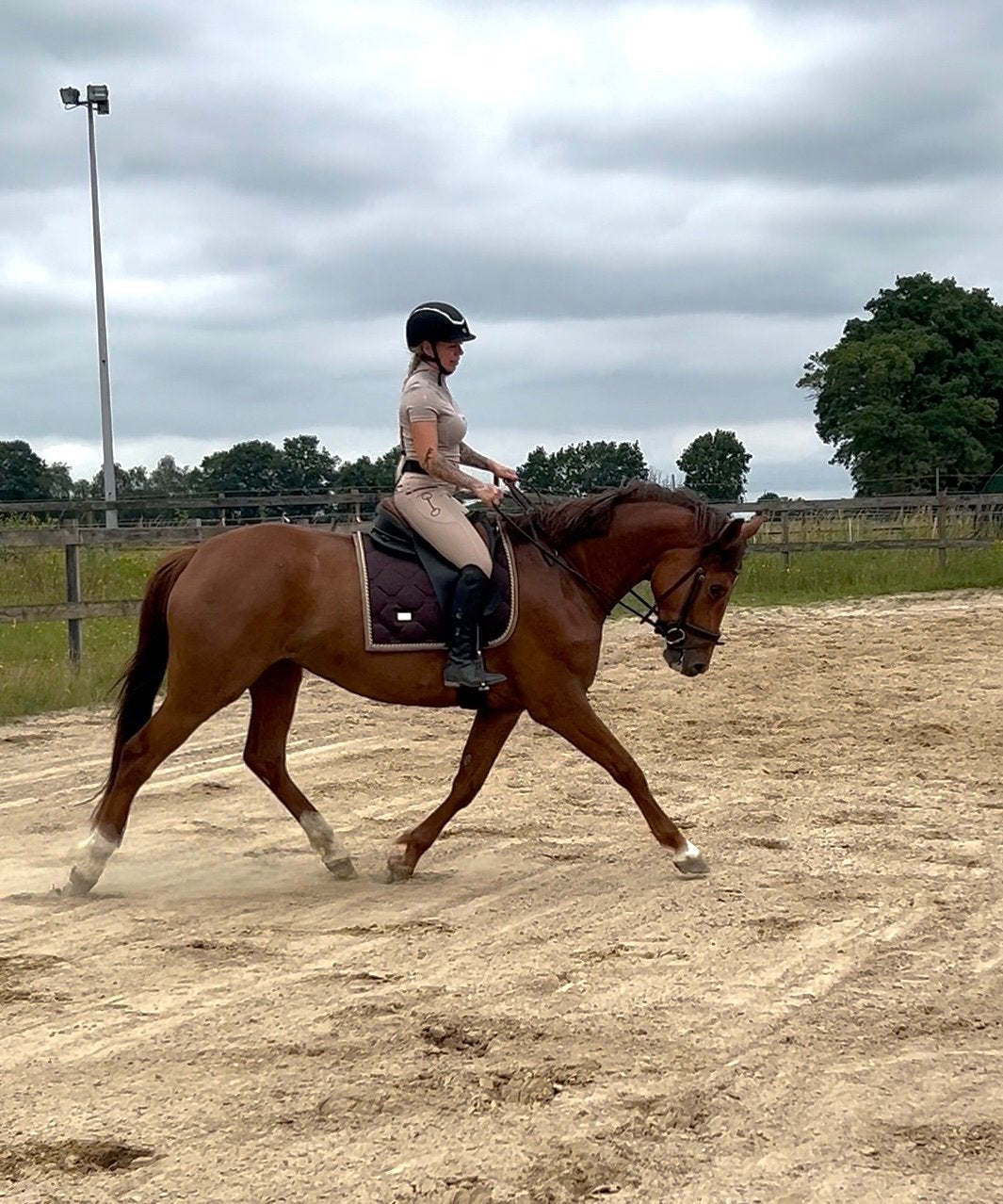 Paarden zadelmak maken
