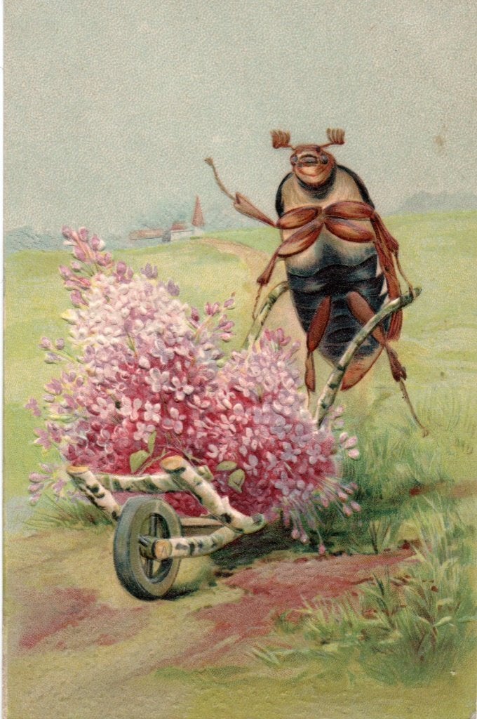 Bij met kruiwagen bloemen. 7566, Ophalen of Verzenden, Voor 1920, Gelopen, Overige thema's