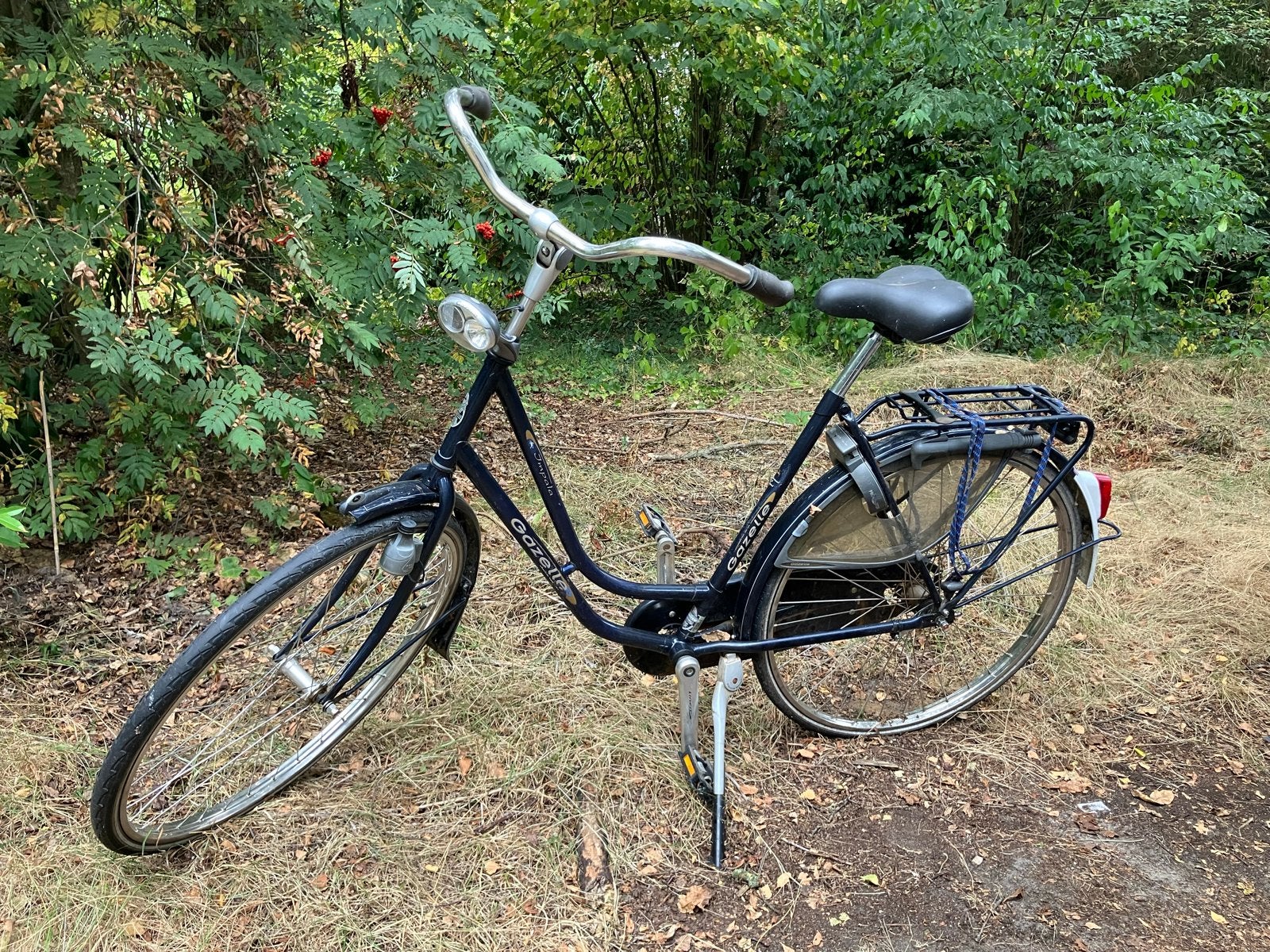 Gazelle Impala damesfiets - Gebruikt ketting vervangen, Ophalen, Terugtraprem, Gazelle, 53 tot 56 cm