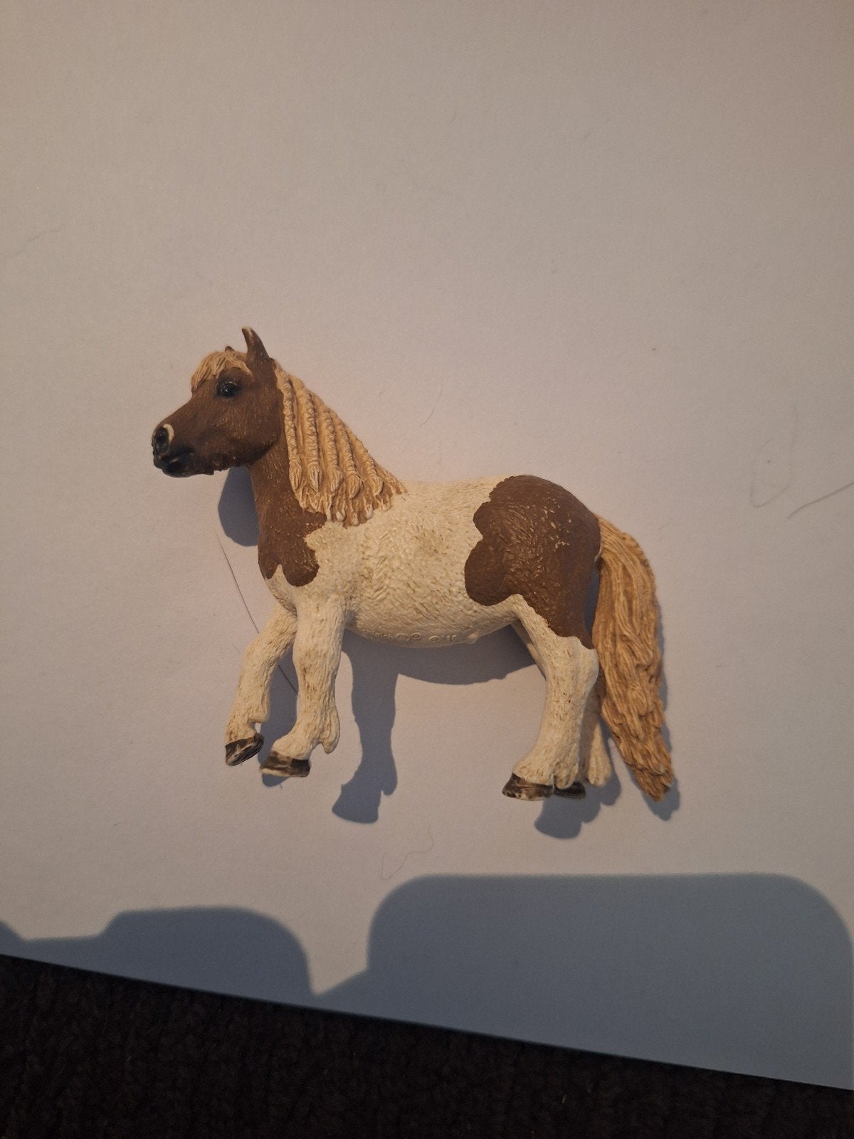 1x Shetlander merrie., Ophalen of Verzenden, Gebruikt