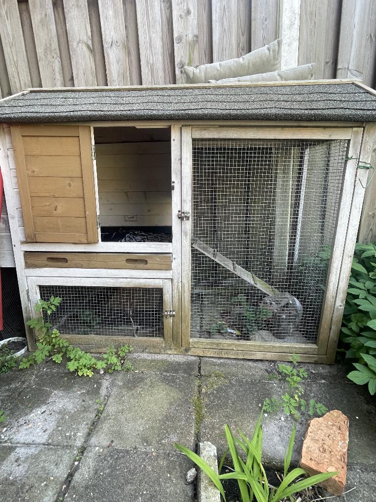 dierenverblijf, Meerdere dieren, Middelgroot, 3 tot 5 jaar