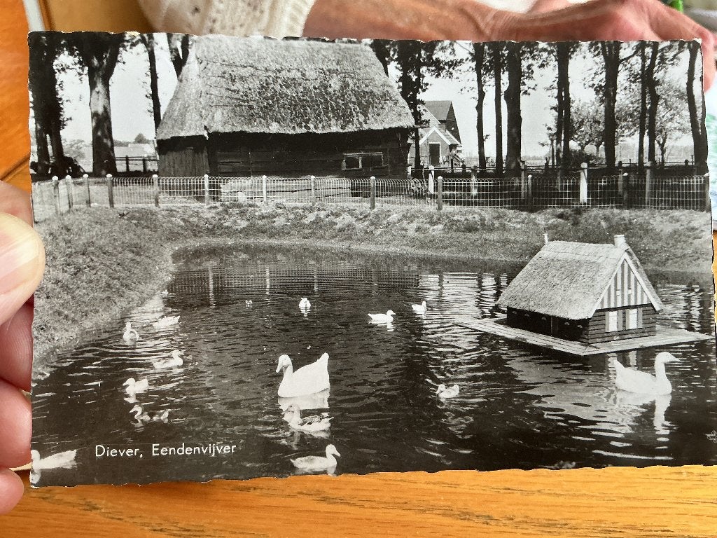Diever, Verzenden, 1960 tot 1980, Gelopen, Drenthe